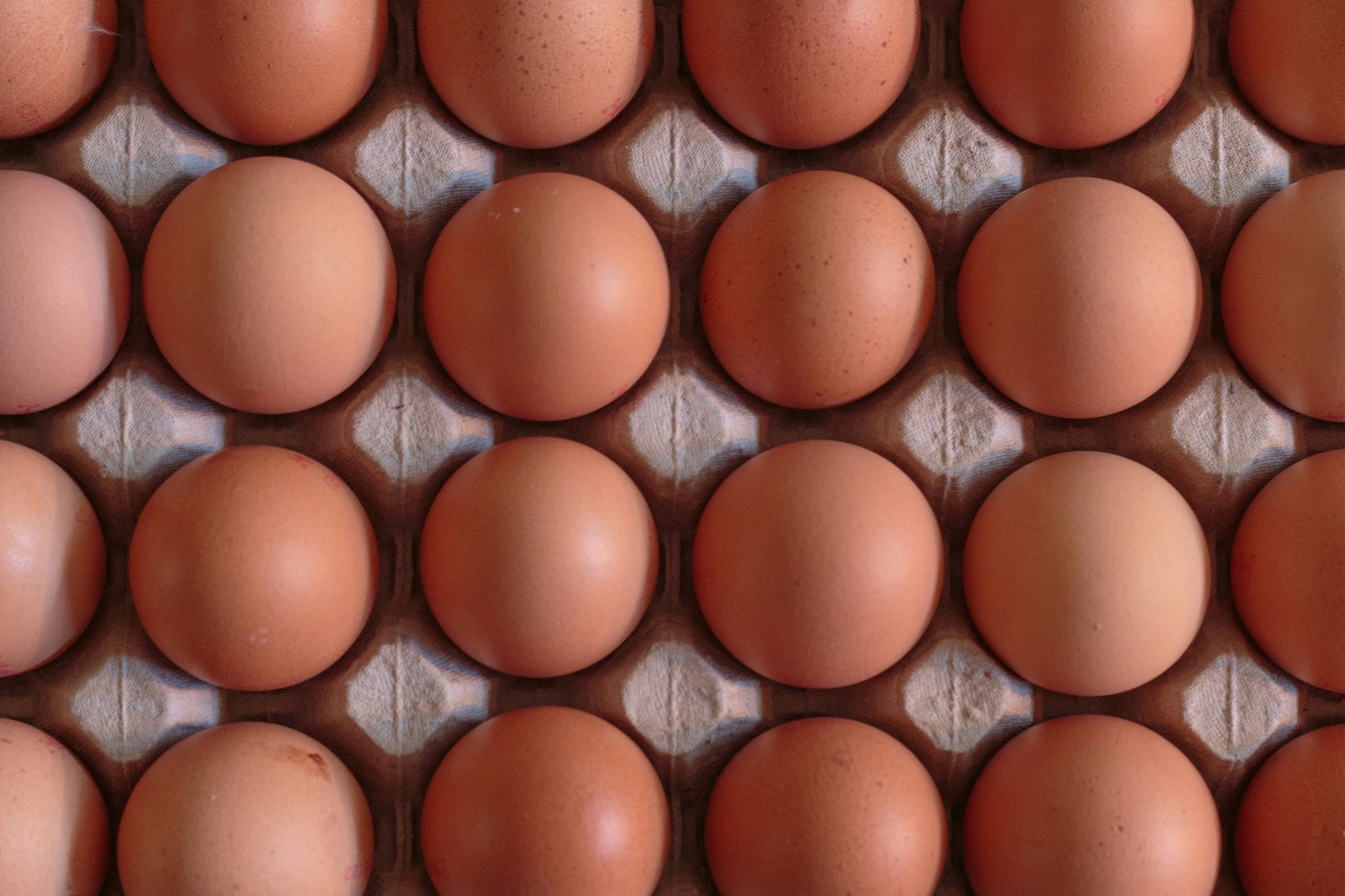 Tray of eggs aligned to be used using the Duronic EB27 BK electric egg boiler