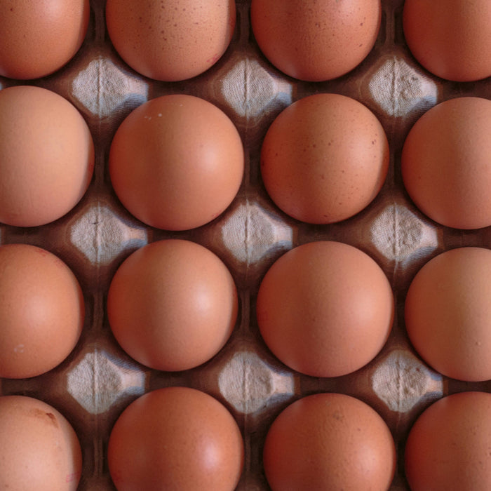 Tray of eggs aligned to be used using the Duronic EB27 BK electric egg boiler