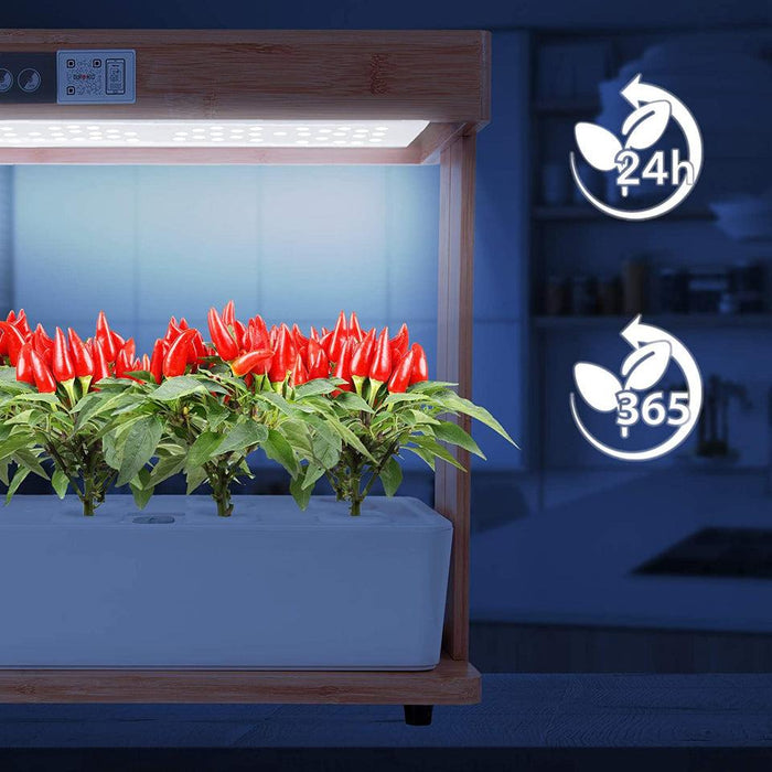 Duronic Hydroponic Growing System GHS48 | Indoor Garden Box with Grow Lamp for 8 Plants or Herbs | 100x LED Spectrum Bulbs: White, Red & Blue| 3 Light/Growth Modes | Smart Germination Kit | 30W