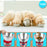 Duronic Digital Kitchen Scale with golden Retriever puppies eating from bowls