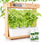 Duronic Hydroponic Growing System with a bamboo frame, featuring lush green basil plants, a white water reservoir, and two bottles of liquid plant food.