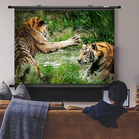 Duronic BPS60 screen for projector watching wildlife documentary at home on sofa