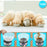 Duronic Digital Kitchen Scale three-step demonstration of the digital scale's tare function shows a bowl being placed, the display resetting to zero, and pet food being weighed accurately, alongside a group of golden retriever puppies eating from bowls.