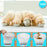 Duronic Digital Kitchen Scale with a golden retriever puppies eating from bowls and a demonstration of a kitchen scale's tare function.
