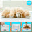 Duronic Digital Kitchen Scales with puppies eating from bowls and a demonstration of a kitchen scale's tare function.