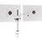 Duronic Dual Monitor Stand with adjustable arms, C-clamp base, and VESA plates on chrome pole.