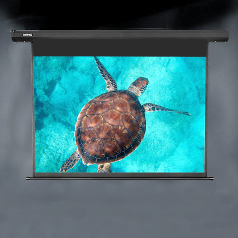 Duronic Electric Projector Screen displayed a sea turtle swimming in bright blue water