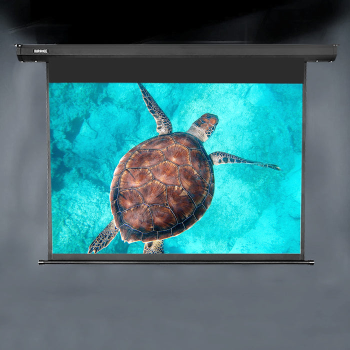 Duronic Electric Projector Screen displayed a sea turtle swimming in bright blue water
