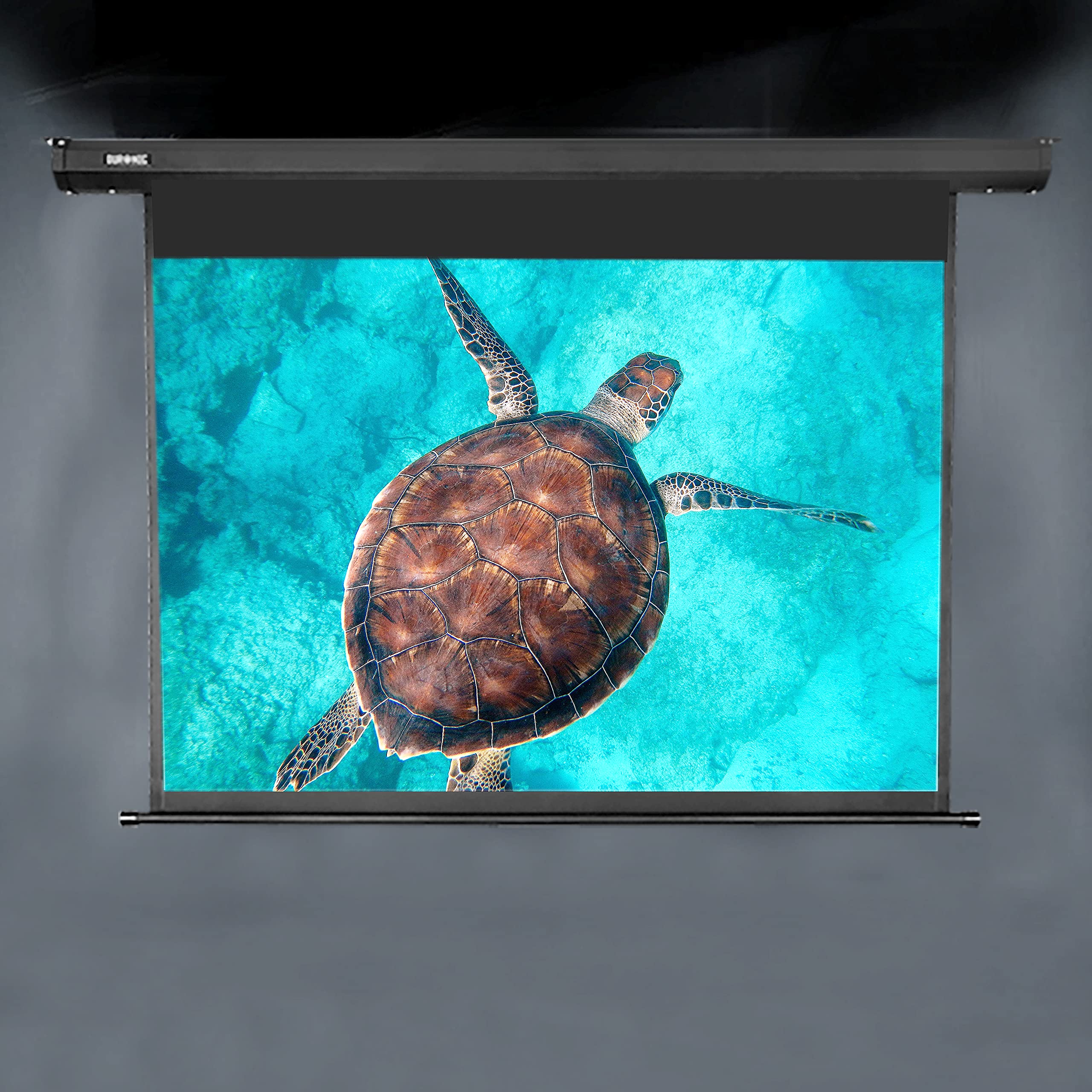 Duronic Electric XXL Projector displaying a vibrant sea turtle swimming in clear turquoise ocean water.