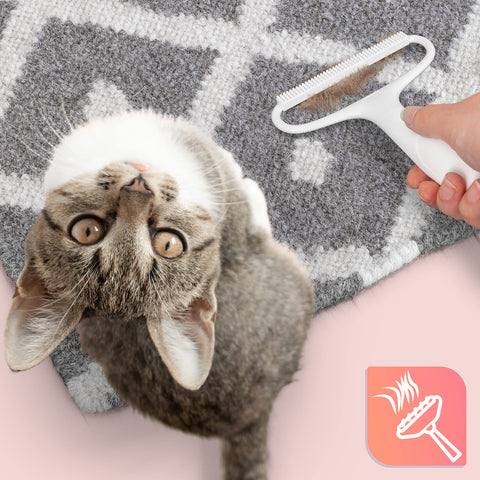 Duronic Lint Shaver scraping fur off a grey rug next to a tabby cat.