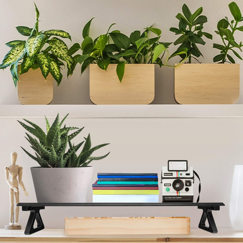 Duronic Monitor Stand Riser with potted plants, books, a vintage camera, and a wooden artist mannequin.