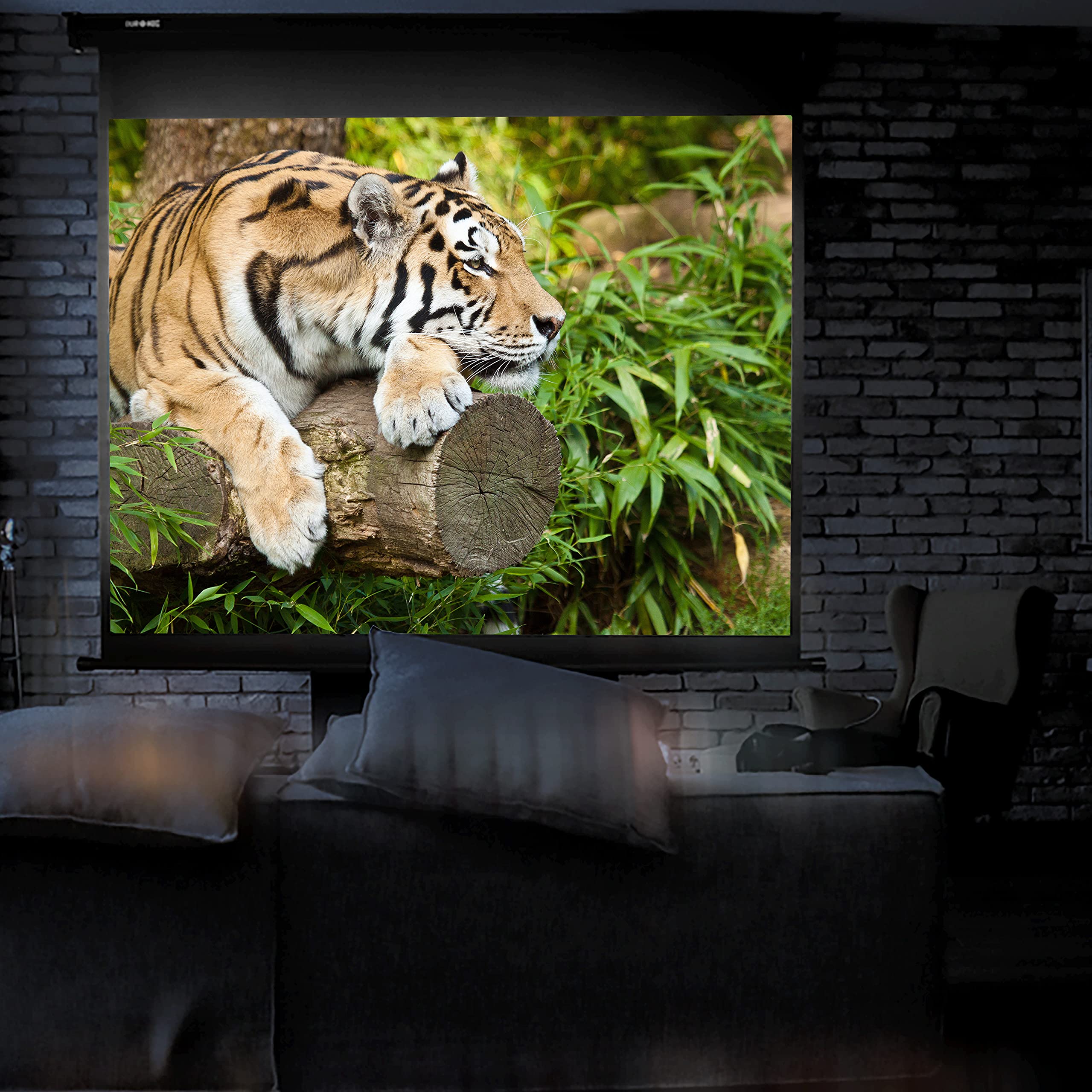 Duronic Projector Screen displaying a tiger resting on a log inside a home theater room
