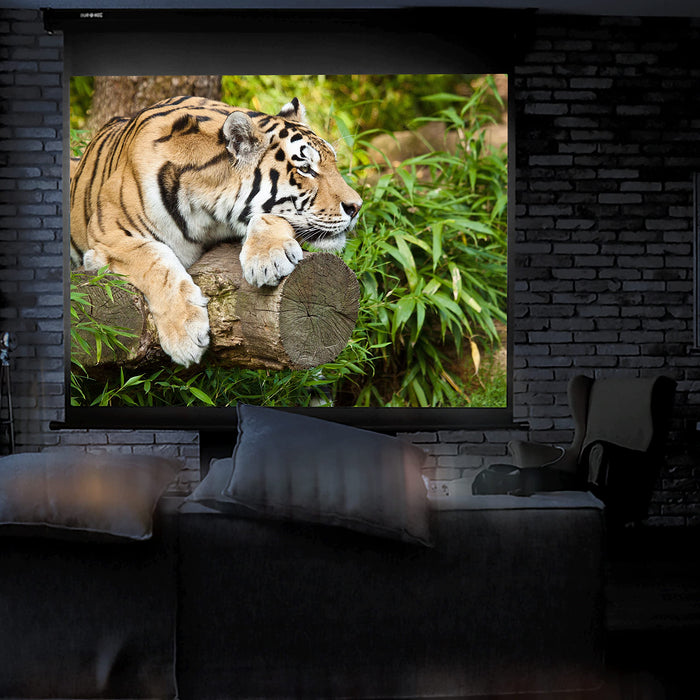 Duronic Projector Screen in a home theater displays a tiger resting on a log.