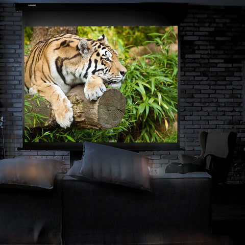 Duronic Projector Screen showing a tiger on a log, inside a room with a brick wall