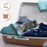 Duronic Steam Irons in a grey velvet pouch packed inside an open brown suitcase.